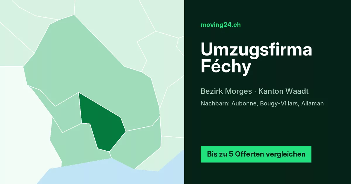 Umzugsfirma F&eacute;chy