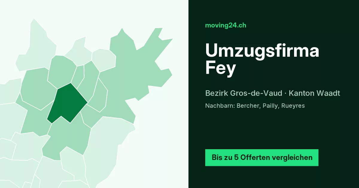 Umzugsfirma Fey