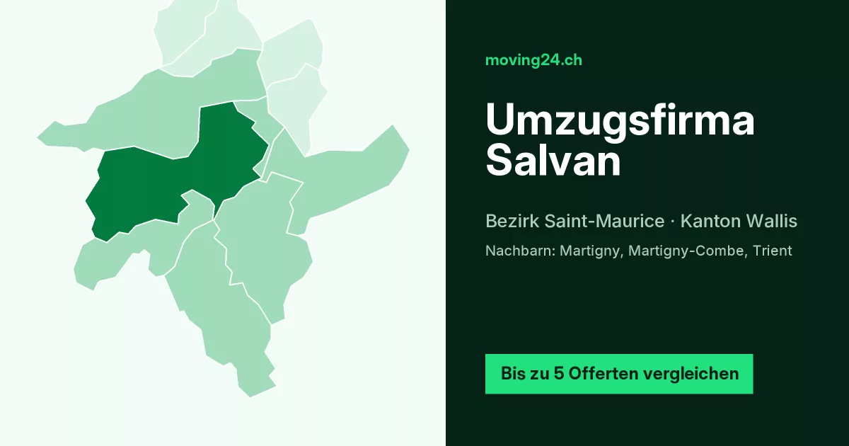 Umzugsfirma Salvan